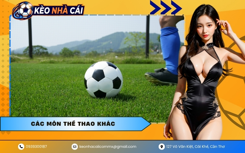 Các môn thể thao khác