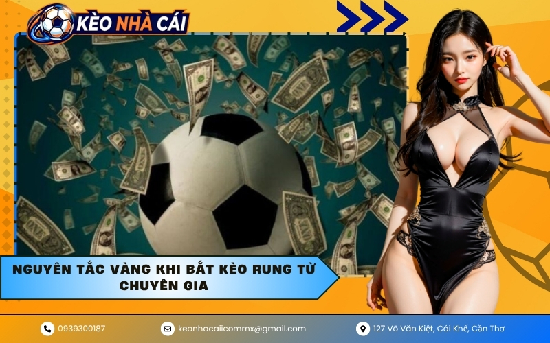 Nguyên tắc vàng khi bắt kèo rung từ chuyên gia