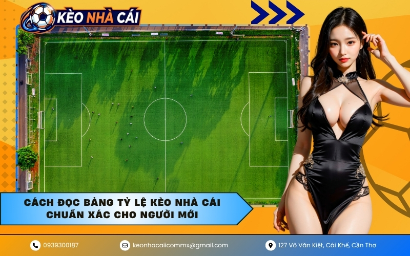 Cách đọc bảng tỷ lệ kèo nhà cái chuẩn xác cho người mới