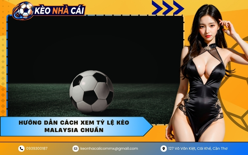 Hướng dẫn cách xem tỷ lệ kèo Malaysia chuẩn